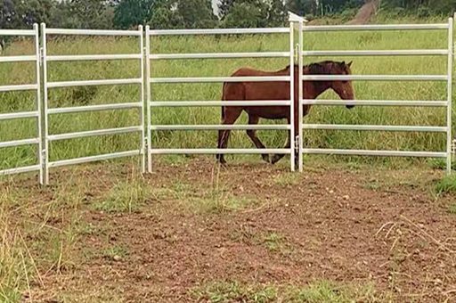 Horse Round Yard